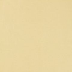 F. Schumacher Tiepolo Shantung Weave Ivory 63842 Mirage Collection