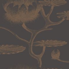 Cole and Son Lily Black / Bronze 95-4021 Contemporary Restyled Collection Wall Covering