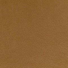 Robert Allen Contract Brutus-Topaz 216790 Decor Upholstery Fabric