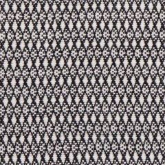 F Schumacher Zoila Black 71860 Caravanne Collection Indoor Upholstery Fabric