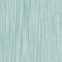 Duralee Seafoam 36256-28 Decor Fabric