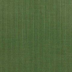 F Schumacher Antique Strie Velvet Hedge 69763 Perfect Basics: Antique Strie Velvet Collection Indoor Upholstery Fabric