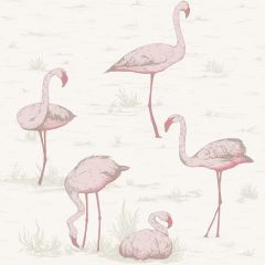 Cole and Son Flamingos Pink / White 95-8045 Contemporary Restyled Collection Wall Covering