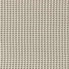 F. Schumacher Crosstown Weave Haze 67103 Chroma Collection