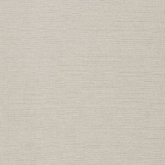Robert Allen Plush Plain Zinc Performance Chenille Collection Indoor Upholstery Fabric