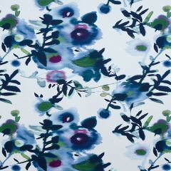 Thibaut Open Spaces Blue F913083 Summer House Collection Multipurpose Fabric