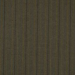 Robert Allen Taboo Steel 193624 Multipurpose Fabric
