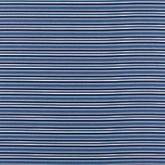 Scalamandre Bella Dura Steps Beach Indigo WR 00012661 Elements Collection Contract Upholstery Fabric