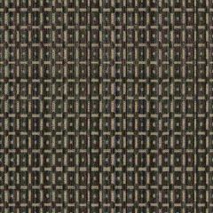 Lee Jofa Modern Menger Velvet Ebony GWF-3703-811 Prism Collection Indoor Upholstery Fabric