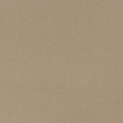 Robert Allen Bosporus Dune 512601 A Life Lived Well Collection By Madcap Cottage Indoor Upholstery Fabric
