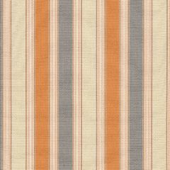 Tempotest Home Piccolo Zinc 5415/54 Fifty Four Vol I Upholstery Fabric