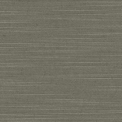 Perennials Slubby Dirty Martini 655-364 No Hard Feelings Collection Upholstery Fabric