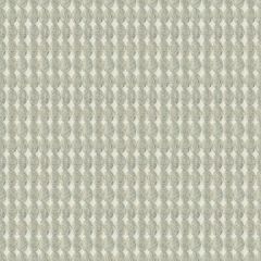 Kravet Rare Coin Sterling 33557-11 Modern Luxe Collection Indoor Upholstery Fabric