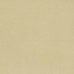 Perennials Plushy Sand 990-23 More Amore Collection Upholstery Fabric