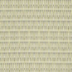 Robert Allen Diamond Braid Zest 221265 Botanical Color Collection Indoor Upholstery Fabric