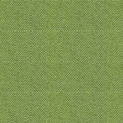 Kravet Smart Green 32924-3 Guaranteed in Stock Indoor Upholstery Fabric