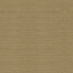 Kravet Sunbrella Taupe 30840-1616 Soleil Collection Upholstery Fabric