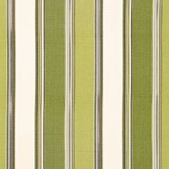 F. Schumacher Addison Cotton Stripe Vert 66003 Sea Island Stripes Collection