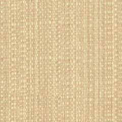 Kravet 34374 Beige 11 Indoor Upholstery Fabric