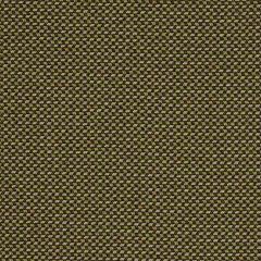 Robert Allen Contract Meadow Garden Flax 194328 Indoor Upholstery Fabric