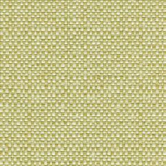 Kravet Enthusiasm Pear 31877-23 by Candice Olson Indoor Upholstery Fabric