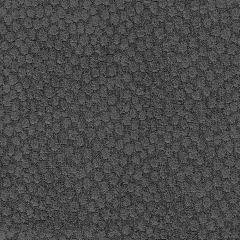 Kravet Smart Weaves Frost 34317-21 Indoor Upholstery Fabric