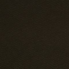 Robert Allen Glam Sheen Java 198056 Indoor Upholstery Fabric