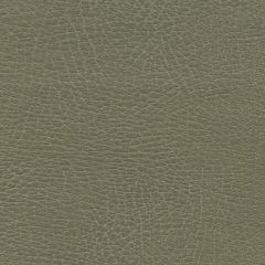 F. Schumacher Brisa Distressed Prairie 335-4512 Ultraleather Collection