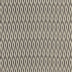 Robert Allen Carters Grove-Dorian Grey 229844 Decor Multi-Purpose Fabric