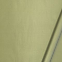 Robert Allen Vinetta Cactus 175568 Drapeable Silk Looks Collection Multipurpose Fabric