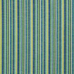 F Schumacher Primavera Stripe Meadow 73113 Indoor / Outdoor Prints and Wovens Collection Upholstery Fabric