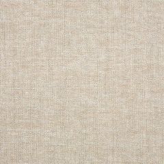 Sunbrella Platform Cloud 42091-0011 The Pure Collection Upholstery Fabric