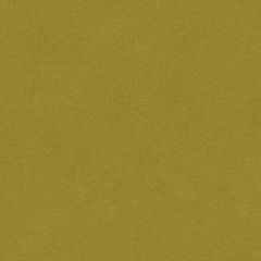 Kravet Couture Green 33127-3 Indoor Upholstery Fabric