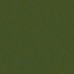 Kravet Design Velvets Green 34205-130 Indoor Upholstery Fabric
