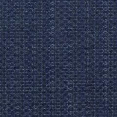 Perennials Chenille Number 5 Grotto 971-143 Road Trippin Collection Upholstery Fabric