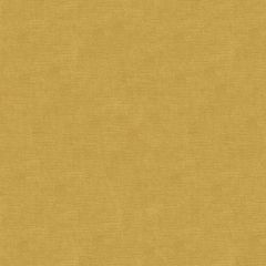 Kravet Design Yellow 33125-40 Indoor Upholstery Fabric