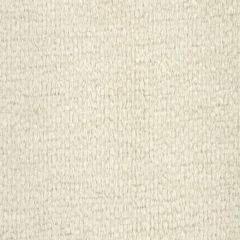 Robert Allen Royal Chenille Pale Cream 232074 Plush Chenilles Collection Indoor Upholstery Fabric
