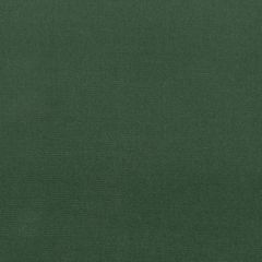 Perennials Plushy Grass 990-250 More Amore Collection Upholstery Fabric