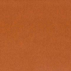 Stout Wilkinson Cognac 7 on the Go Collection Indoor Upholstery Fabric