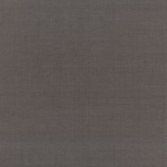 F. Schumacher Beckford Cotton Plain Graphite 68788 Chroma Collection