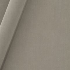 Robert Allen Forever Velvet Sterling 245432 Durable Velvets Collection Indoor Upholstery Fabric