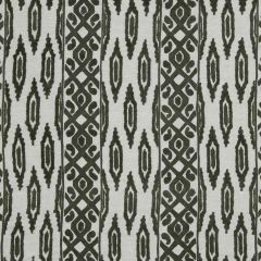 Beacon Hill Sedona Ikat Java 226335 Ankasa Iconic Collection Multipurpose Fabric