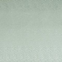 Clarke and Clarke Pulse Mineral F0469-10 Tempo Collection Upholstery Fabric