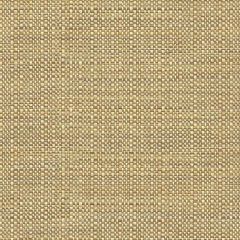 Kravet Contract Elect Moonstone 32923-616 Indoor Upholstery Fabric