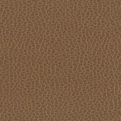 F. Schumacher Promessa Fields 363-3141 Ultraleather Collection