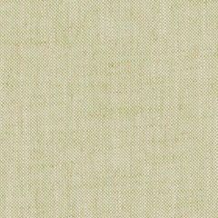Duralee Wasabi DW61848-609 Pirouette All Purpose Collection Multipurpose Fabric