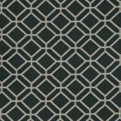 Robert Allen Contract Outlook-Panther 221190 Decor Multi-Purpose Fabric