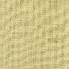 Gaston Y Daniela Nicaragua Verde Claro GDT5239-11 Basics Collection Indoor Upholstery Fabric