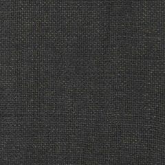 Gaston Y Daniela Nicaragua Onyx GDT5239-18 Basics Collection Indoor Upholstery Fabric