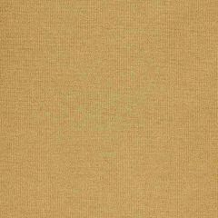 Robert Allen Tramore Ii Gold 215478 Multipurpose Fabric